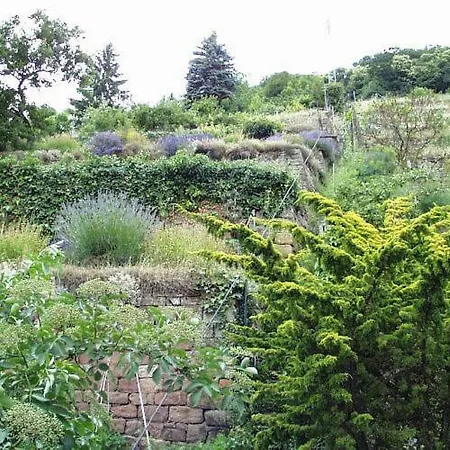 Ferienwohnung Appolonia * Neustadt an der Weinstraße