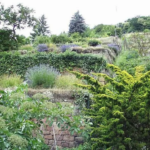 Ferienwohnung Appolonia 公寓 *